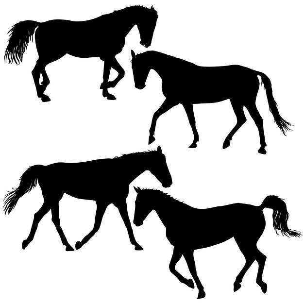 Stel silhouet van zwarte mustang paard vectorillustratie