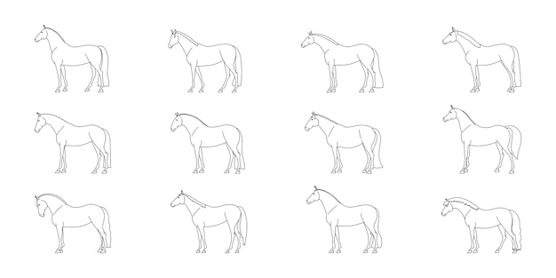 Stel van contouren van paarden van ruiterrassen van verschillende conformatie