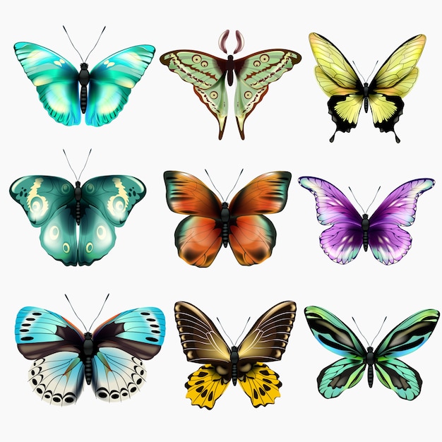 Stel veelkleurige vlinders in. illustratie