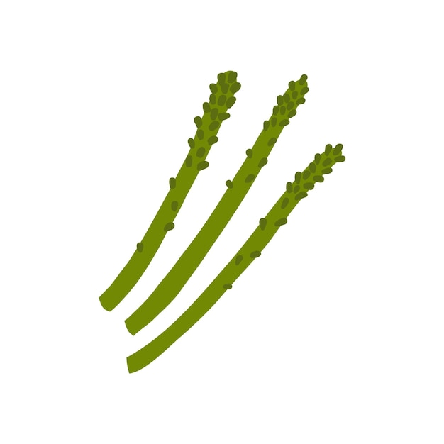Stelletje asperges cartoon verse voeding ingredint vector plantaardige hand getekende illustratie