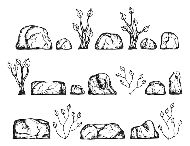 Stenen en planten vector schets hand tekenen geïsoleerd