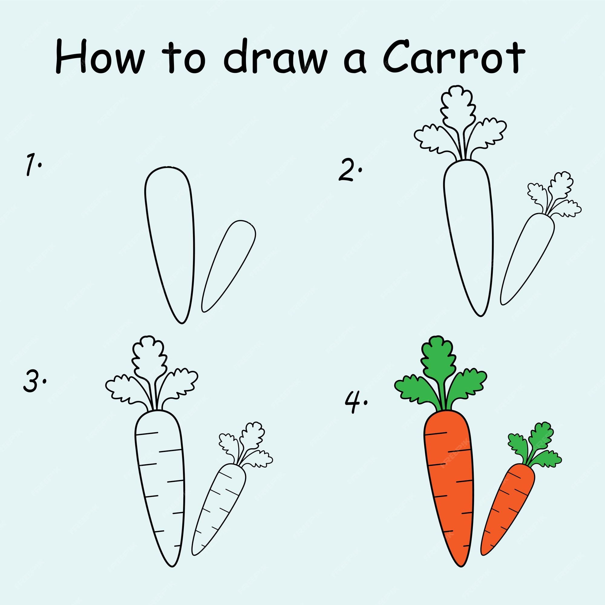 Premium Vector | Step by step to draw a carrot. drawing tutorial a carrot. drawing lesson for children. Premium Vector | Step by step to draw a carrot. drawing tutorial a carrot. drawing lesson for children.