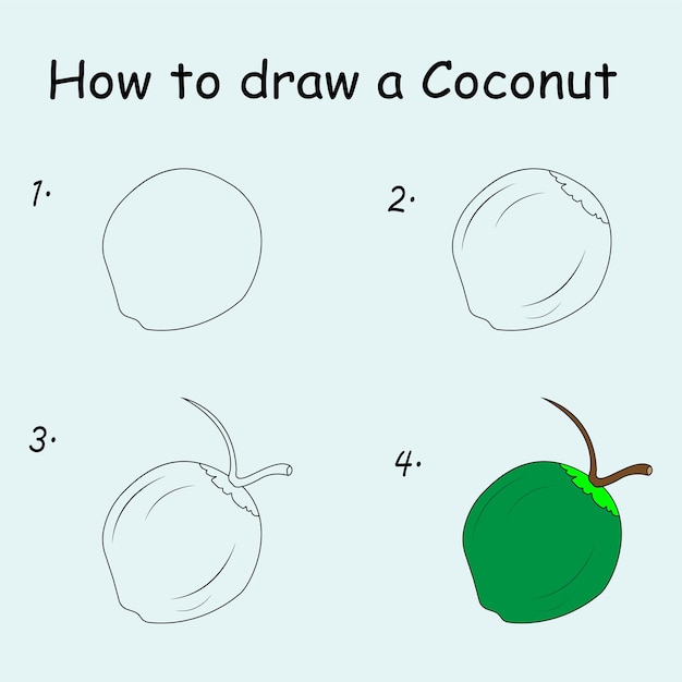 Step by step to draw a Coconut Drawing tutorial a Coconut Drawing lesson for children