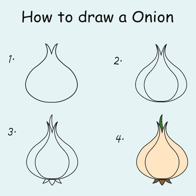 Vector step by step to draw an onion drawing tutorial an onion drawing lesson for children