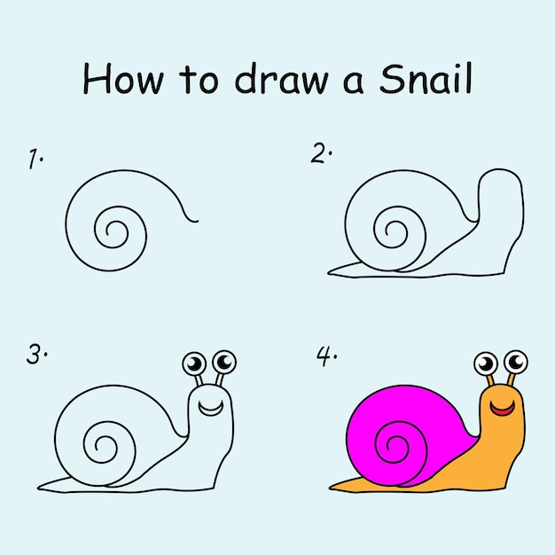 Step by step to draw a Snail Drawing tutorial a Snail Drawing lesson for children