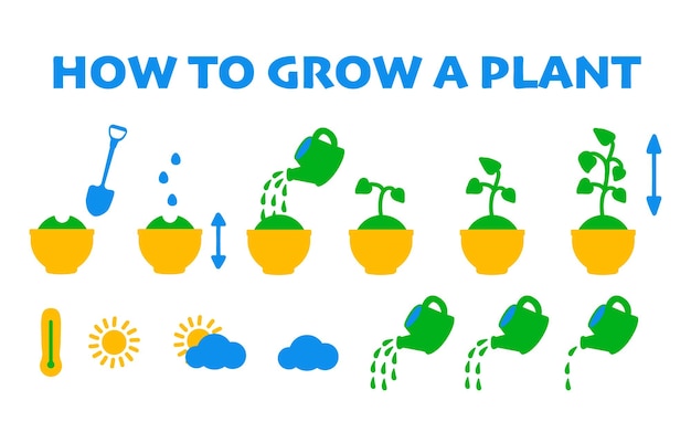 鉢植えの植物を育てる方法のステップバイステップの説明種子から苗や花を育てるベクトルフラットアイコンガーデニングと温室