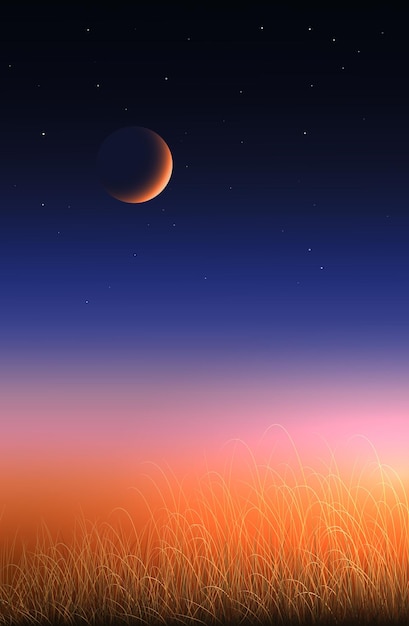 Steppe gras bij zonsopgang