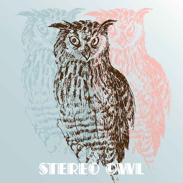 Stereo owl