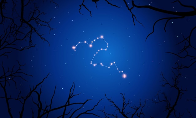 Sterrenbeeld Eridanus, sterren aan de blauwe nachtelijke hemel met silhouet van boomtakken