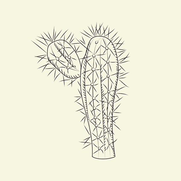 Stetsonia cactus isolated on light background. wild cacti sketch. engraving vintage style. vector illustration.