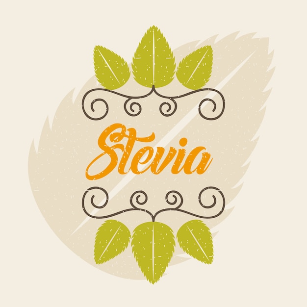 Stevia natural sweetener