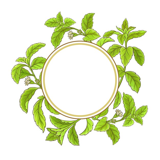 Stevia tak vector frame op witte achtergrond