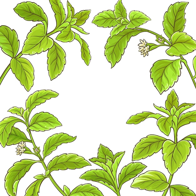 Vector stevia tak vector frame