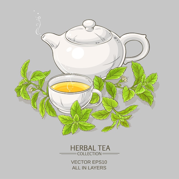 Vector stevia tea illustration