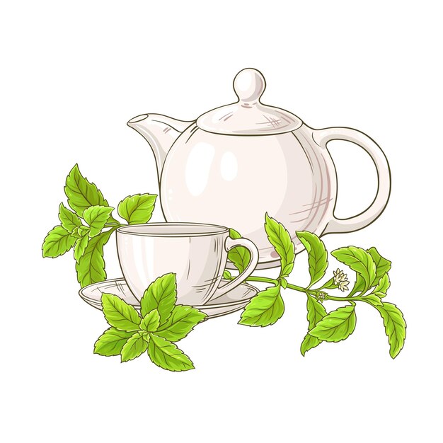 Stevia thee illustratie