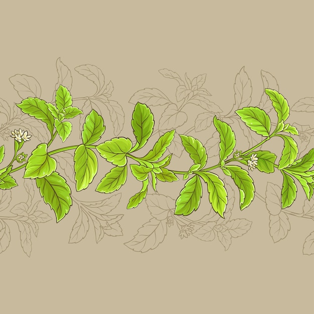 Stevia vectorframe