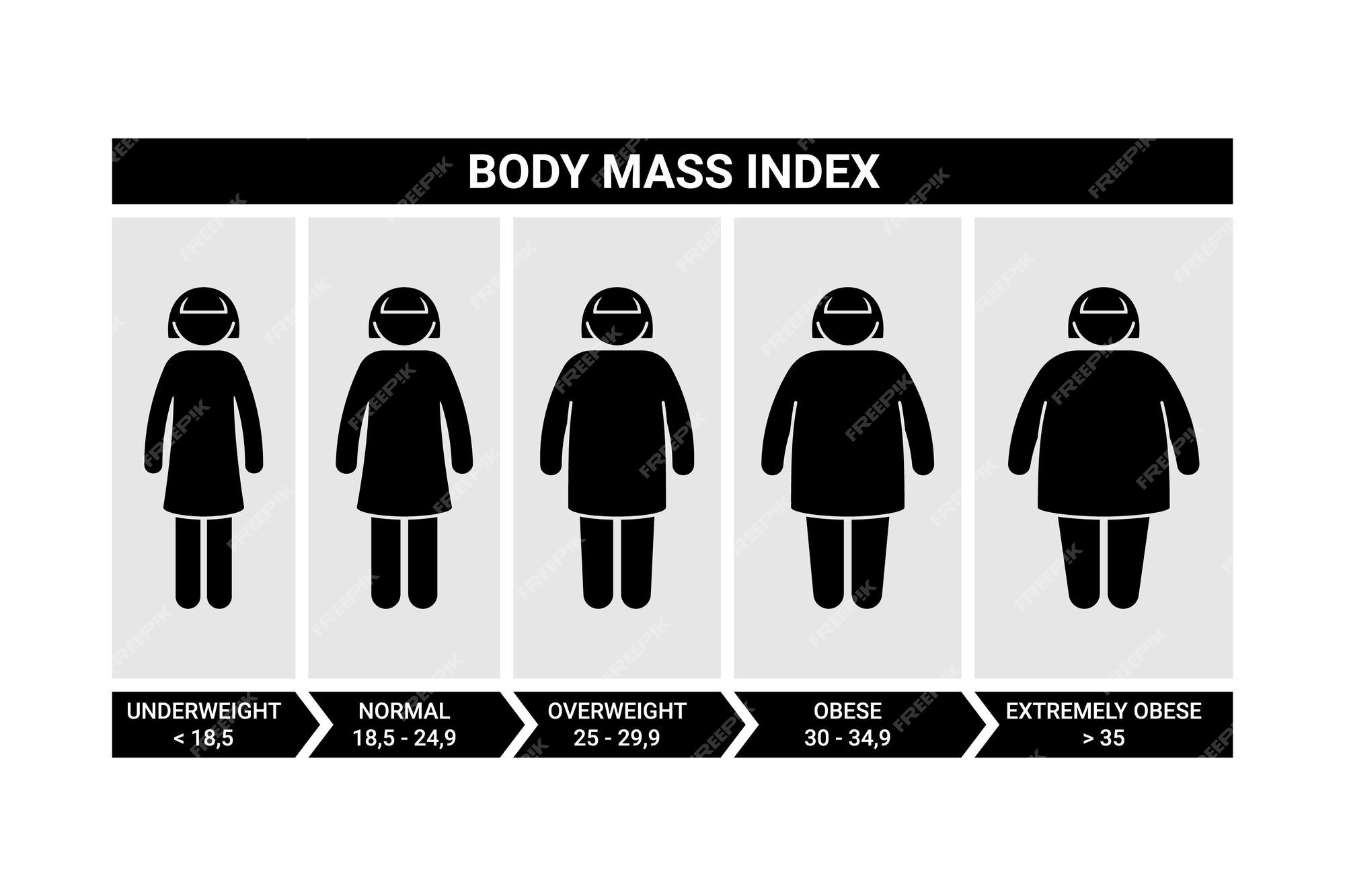 Creative Vector Illustration Of Bmi, Body Mass Index Infographic Chart With  Silhouettes And Scale Isolated On Transparent Background. Art Design Health  Life Template. Abstract Concept Graphic Element. Royalty Free SVG,  Cliparts, Vectors