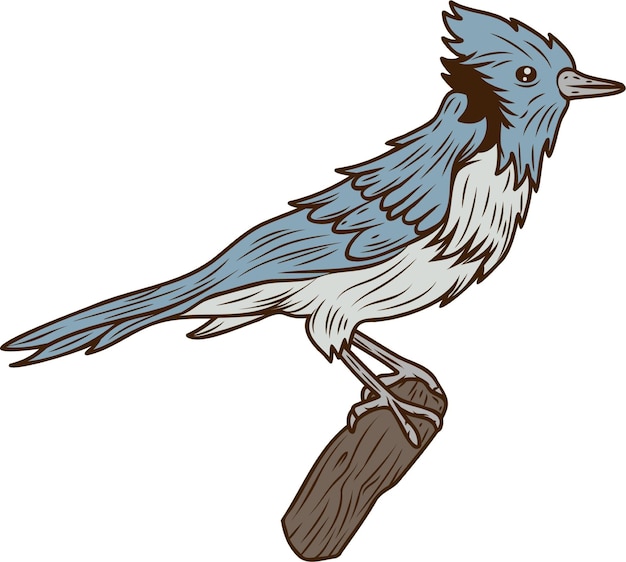Sticker blue jay-vogel