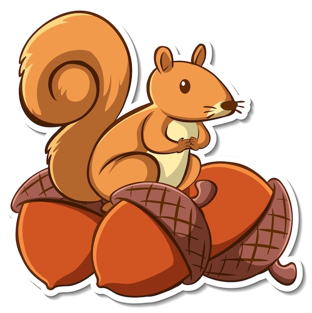 Sticker design with a squirrel on many acorns isolated