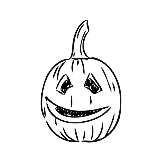 Sticker halloween pumpkin vector illustration pumpkin for halloween vector sketch