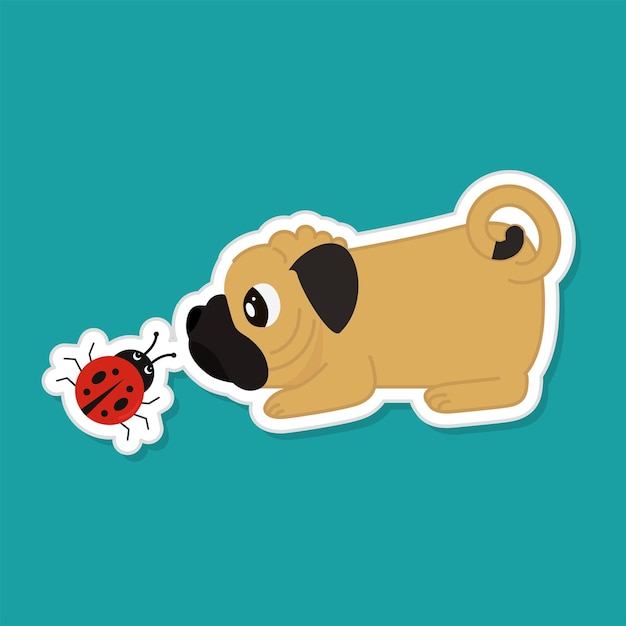 Vector sticker style cute ladybug with bulldog on teal background