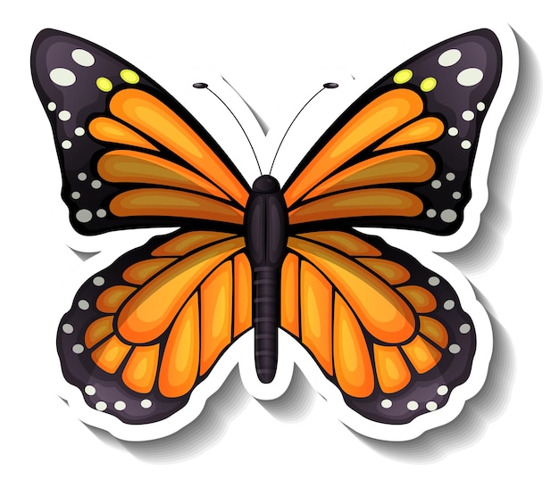 A sticker template with butterfly or moth isolated