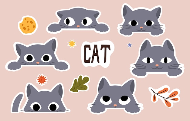 Vector sticker van kat set van foto's met grijs kitten voor kinderen iconen posters patches badges en andere