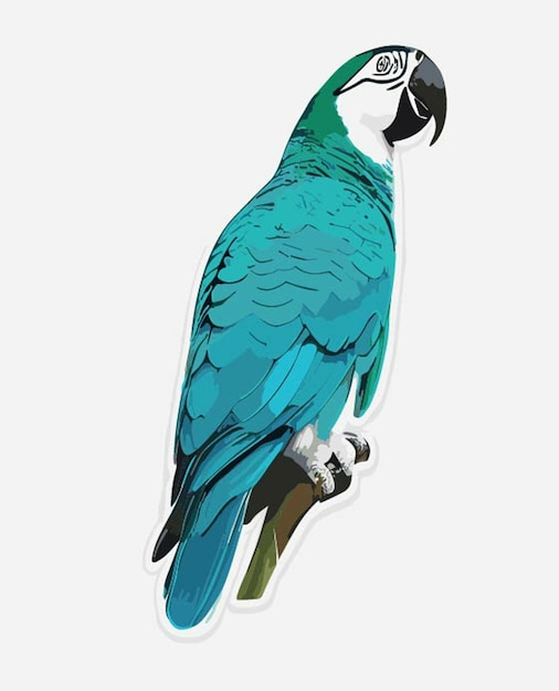 Vector sticker white background bird parrot