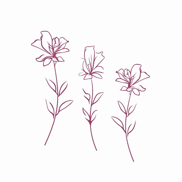 Vector stijlvolle azalea-illustraties in verschillende poses, perfect voor tijdschriftenomslagen