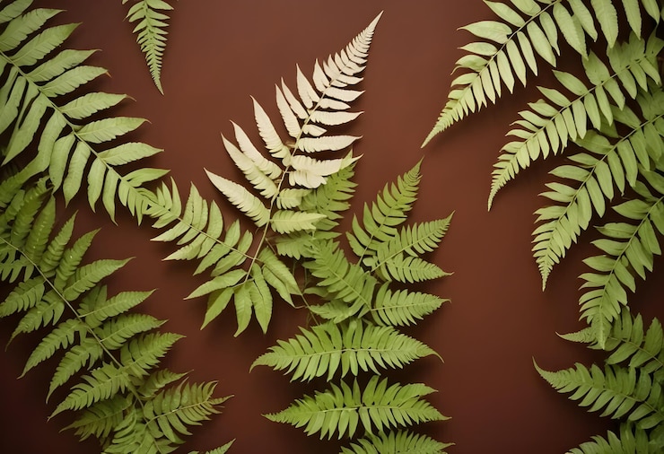 Vector still life image of green fern leaves arranged on a brown background the scene has a natural and organic feel