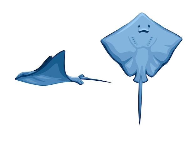 Vector stingray fish aquatic animal species cartoon illustratie vector