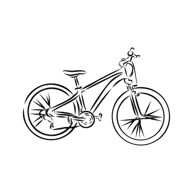 Stock vector bicycle illustration in sketch style