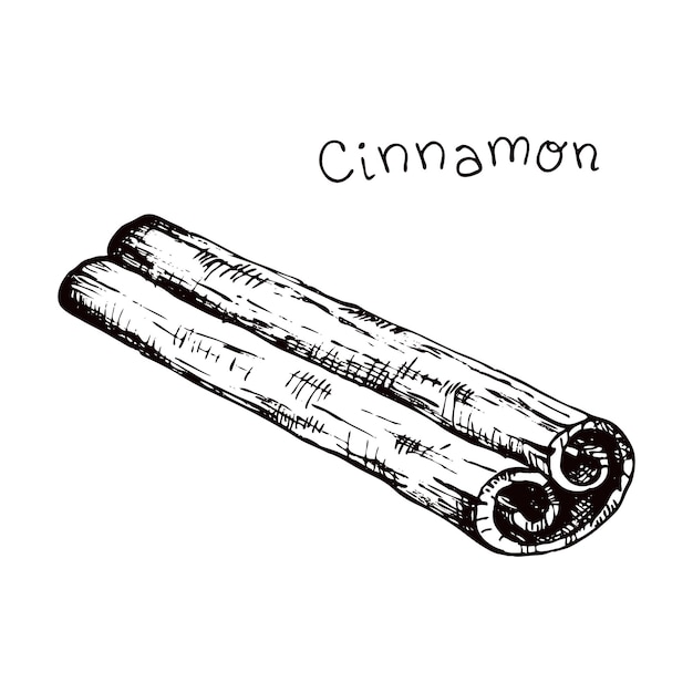 Vettore illustrazione vettoriale d'archivio con cannella ingrediente schizzo disegnato a mano per cucinare e aromaterapia