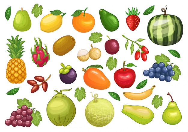 Vector stock vector set of fruits graphic object illustration