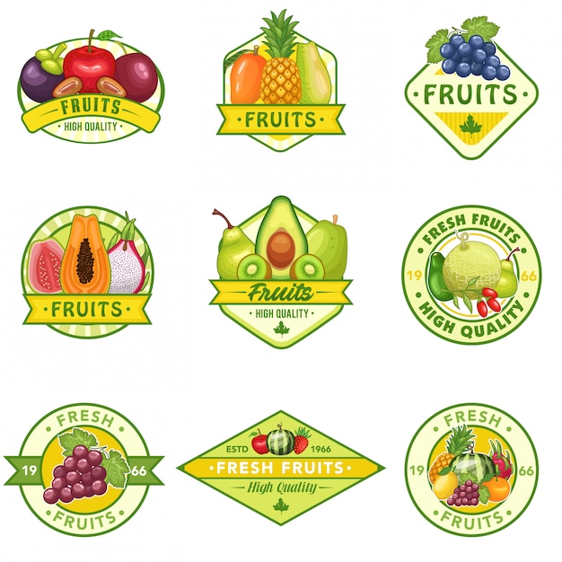 stock vector set of fruits logo