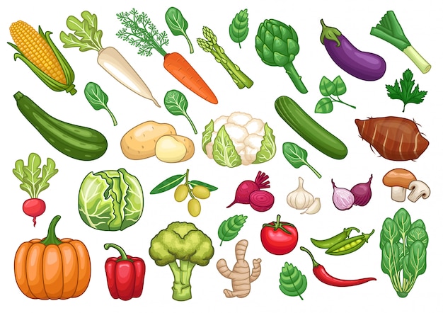 Stock vector set di illustrazione grafica di oggetti vegetali