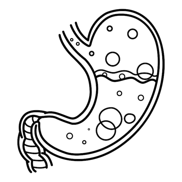 Vector stomach disease for coloring