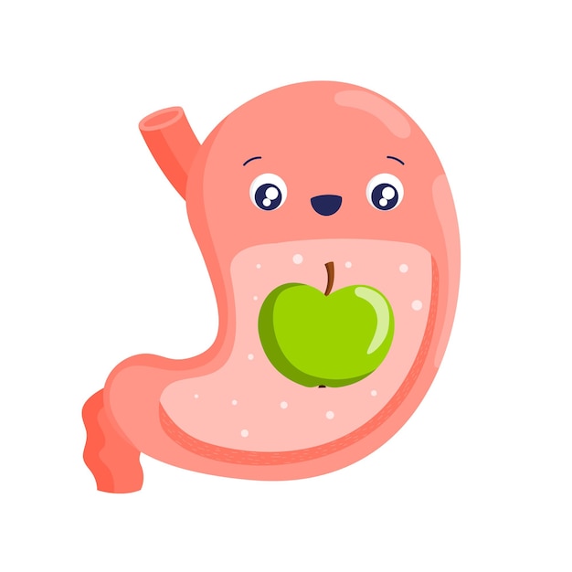Желудок Здоровый желудок и правильное питание Мультфильм внутренние органы Диета фрукты овощи