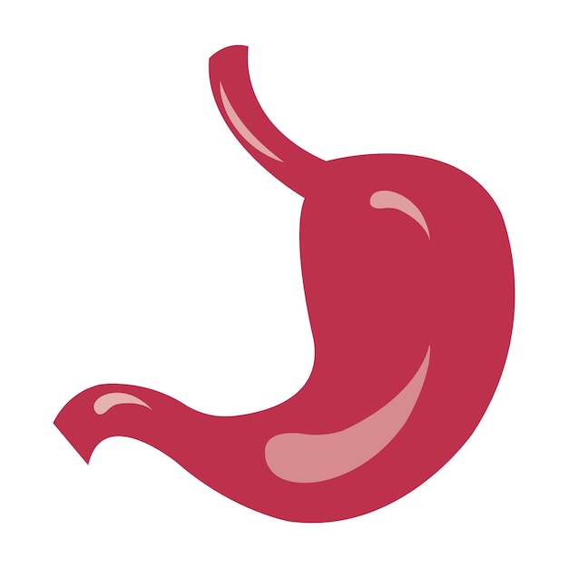 Шаблон векторного логотипа желудка