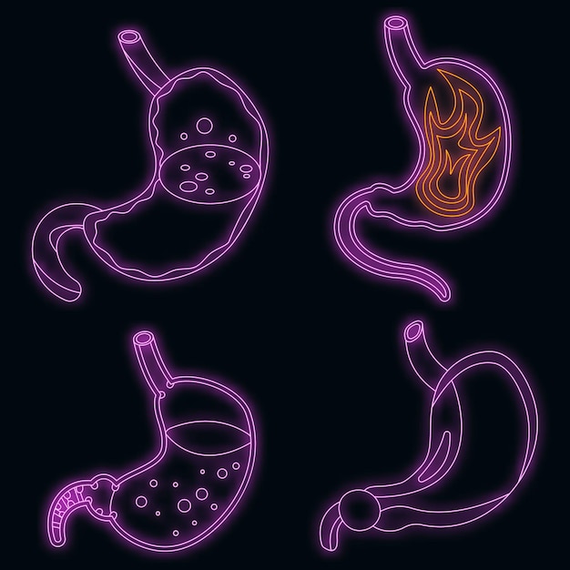 Stomach icons set vector neon