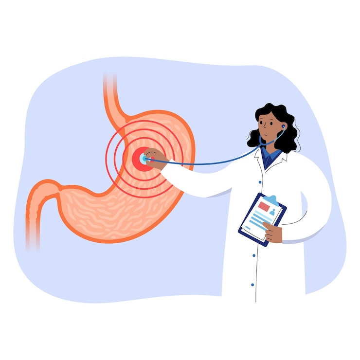 Vector stomach logo concept