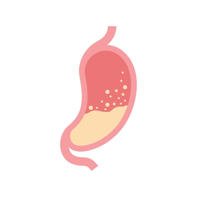 Stomach logo icon