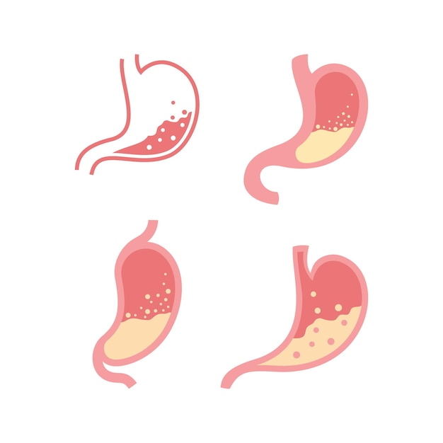 Stomach logo icon