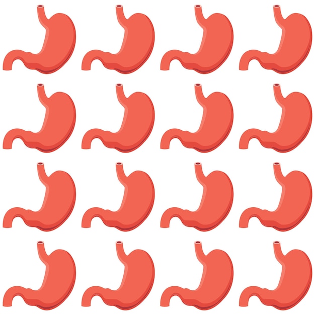 Vector stomach vector pattern