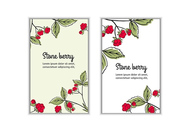 Stone berry vector set Red sweet berries and green leaves