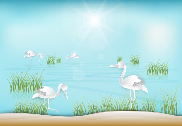 Stork looking for food in the pond illustration background