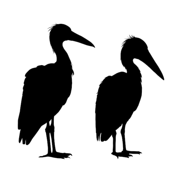 Vector stork silhouette on white background