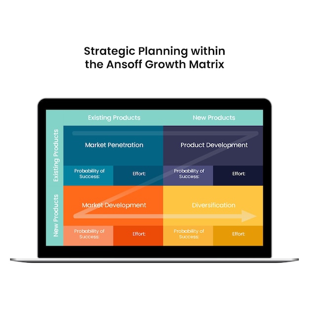 Ansoff Matrix 내의 전략적 계획