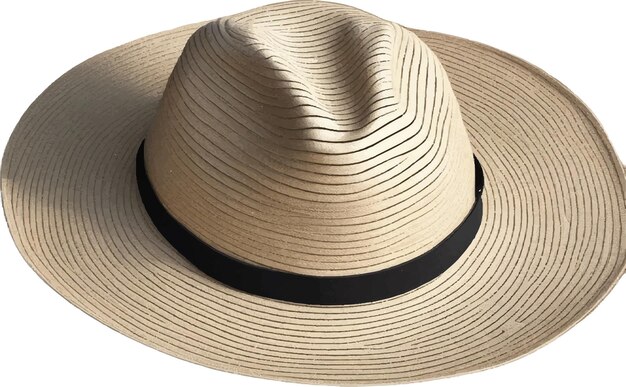 Vector straw hat