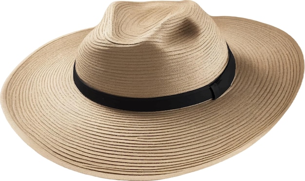 Vector straw hat